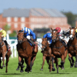 Horse Racing and the Impact of Racecourse Design