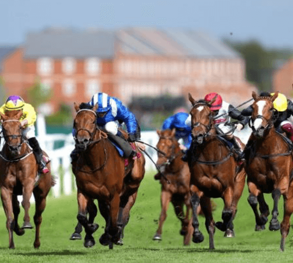 Horse Racing and the Impact of Racecourse Design