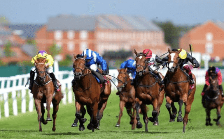 Horse Racing and the Impact of Racecourse Design