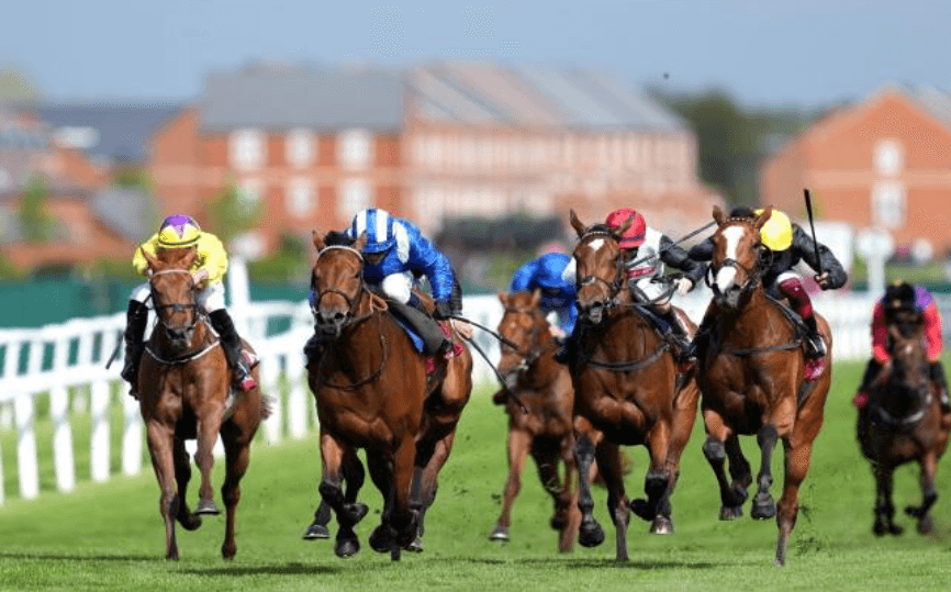 Horse Racing and the Impact of Racecourse Design