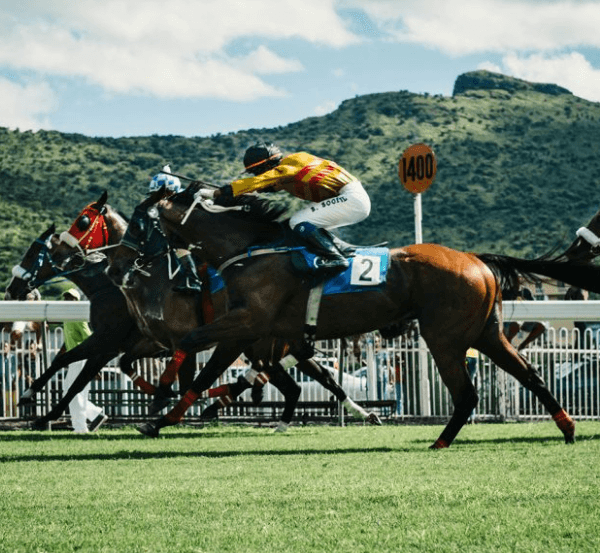 Horse Racing and the Importance of Proper Horse Health