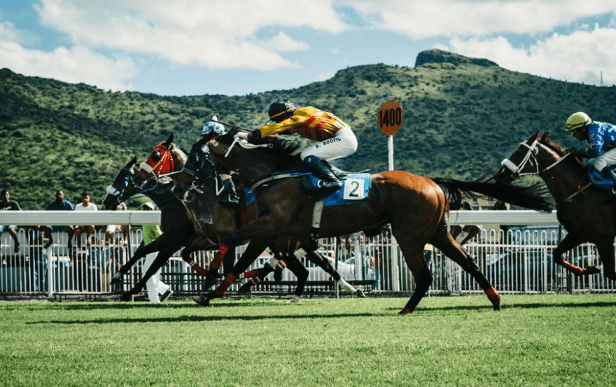 Horse Racing and the Importance of Proper Horse Health