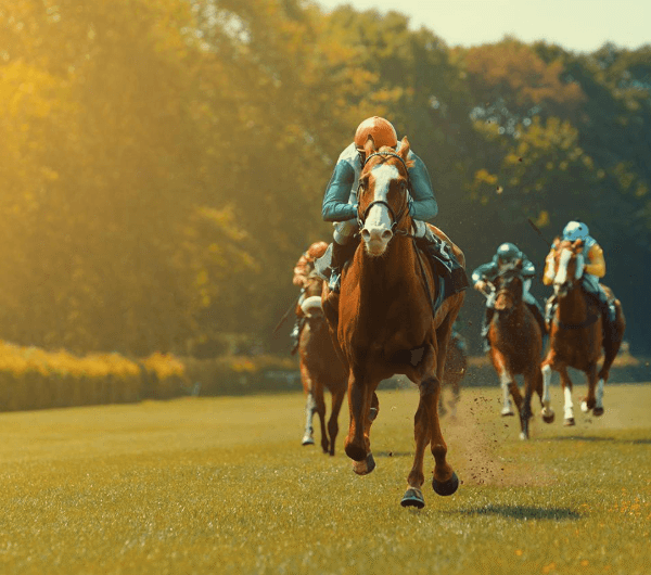 Horse Racing and the Influence of Media