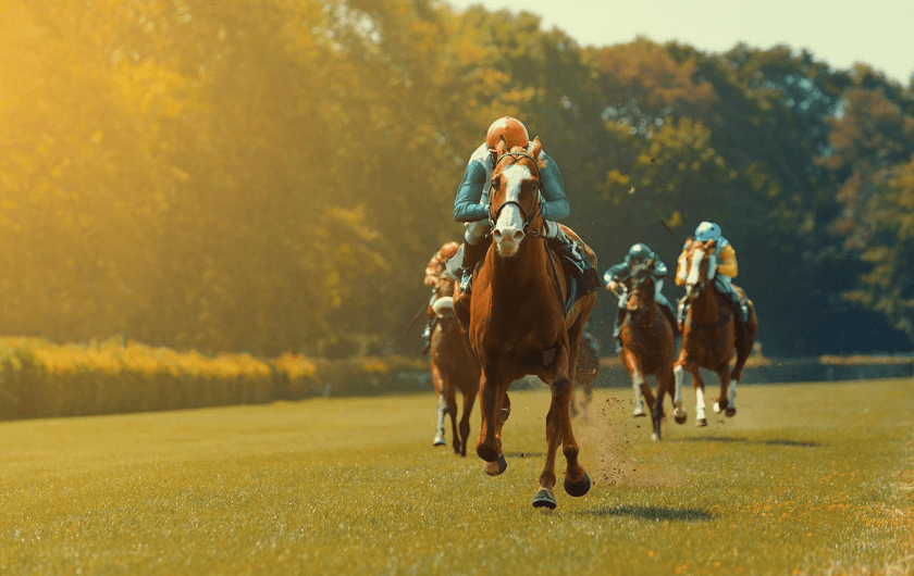 Horse Racing and the Influence of Media