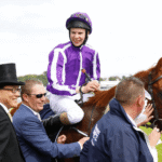 Horse Racing and the Role of the Paddock