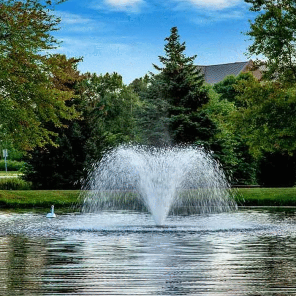 Comparing Small Fountain Pumps: Lift Height vs Flow Rate Explained