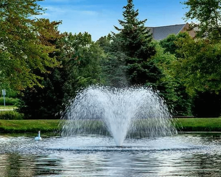 Comparing Small Fountain Pumps: Lift Height vs Flow Rate Explained