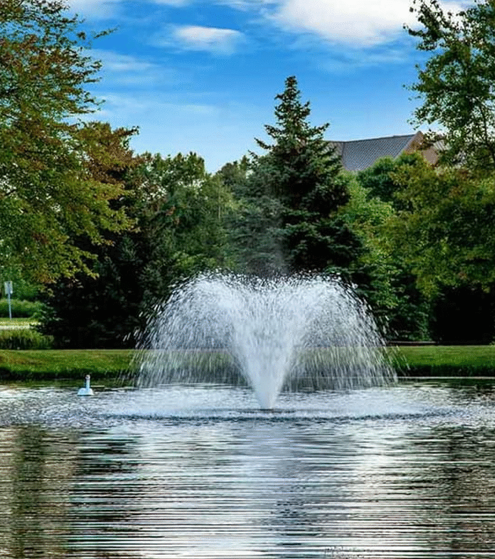 Comparing Small Fountain Pumps: Lift Height vs Flow Rate Explained