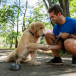 Dog Training Center Near Me: 5 Common Behaviour Problems Solved by Pros
