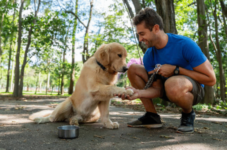 Dog Training Center Near Me: 5 Common Behaviour Problems Solved by Pros
