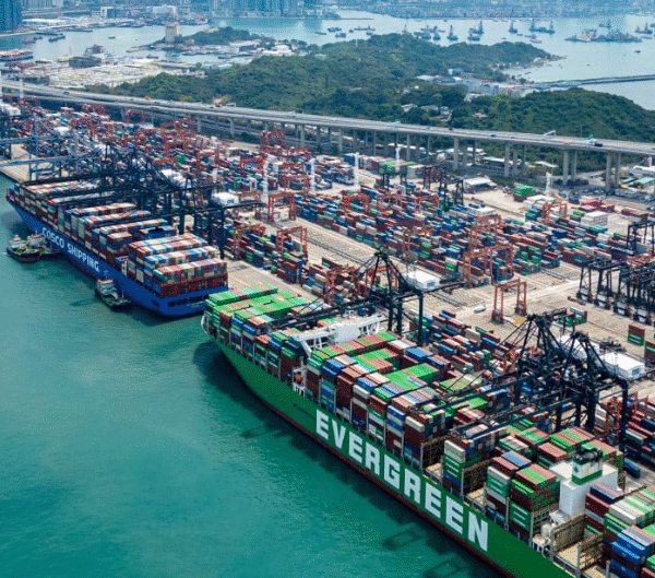 How Hong Kong Export Import Departments Use WPS Official Website for Trade Documents