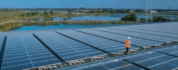 Top PV Module Suppliers: How to Identify and Evaluate the Best in the Industry